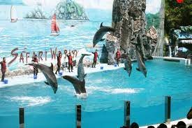 SAFARI WORLD AND MARINE PARK